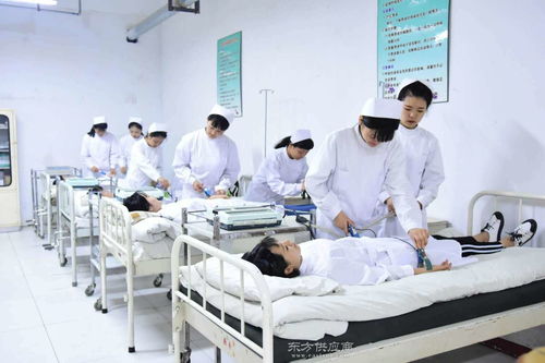 河南人力資源信息咨詢服務指南與圖片資源